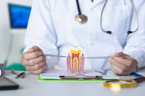 Best Emergency Pediatric Dental Care in Memphis, TX